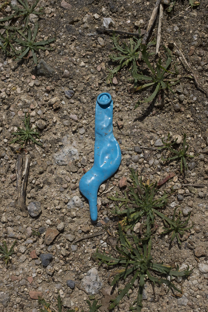 DSCF2206.jpg